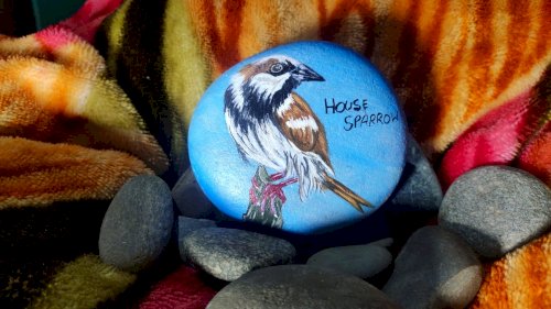 Amazing Stone Paintings by Niranjan Nayak