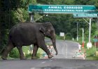 Supreme Court ordered Assam to remove all illegal constructions in animal corridors near Kaziranga.