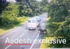 A rhino was hit by a moving truck in Kaziranga Animal Corridor