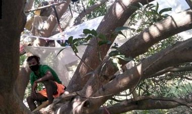 ঘৰত ঠাই  নাই, গছত কোৰান্টিইন ৭ যুবকৰ