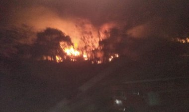 উত্তৰ গুৱাহাটী গৌৰীপুৰত  বনজুই