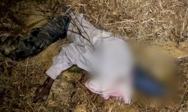 নুমলীগড়ৰ বকিয়ালত বনৰীয়া হাতীৰ আক্ৰমনত এজন ব্যক্তিৰ মৃত্যু