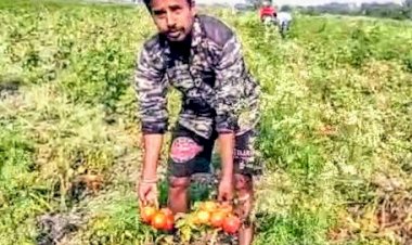 বােকাখাতত অত্যাৱশ্যকীয় সামগ্ৰীৰ চৰাদাম : ৰেচন কাৰ্ডৰ চাউলকলৈ এজেন্টৰ হৰলুকি : নিয়ন্ত্ৰনত ব্যৰ্থ যোগান বিভাগ :