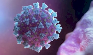 অসমত আৰু চাৰিজন লোকৰ দেহত ধৰা পৰিছে কোৰোণা ভাইৰাছ।