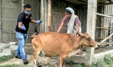 কাজিৰঙাৰ ৰাষ্ট্ৰীয় উদ্যান কৰ্তৃপক্ষৰ উদ্যোগত কাষৰীয় গাঁৱৰ ১০ হেজাৰ পশুধনক প্ৰতিষেধক প্ৰদান : দুটা ৰেঞ্জত এতিয়াও চলি আছে প্ৰতিষেধক প্ৰদানৰ অভিযান :