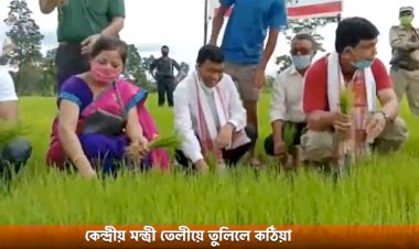 কেন্দ্ৰীয় মন্ত্ৰী তেলীয়ে তুলিলে কঠিয়া