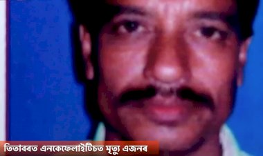 তিতাবৰত এনকেফেলাইটিচত মৃত্যু এজনৰ