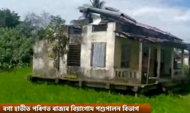 বগা হাতীত পৰিণত ৰাজ্যৰ বিয়াগোম পশুপালন বিভাগ