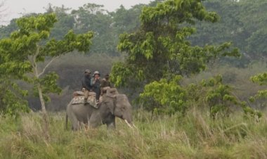 কাজিৰঙাৰ চতুৰ্দশ গঁড় গননাৰ ফলাফল ঘোষণা : এইবাৰৰ গননাত পোৱা ২৬১৩ টা গঁড়ৰ সৈতে বিগত চাৰিটা বৰ্ষত কাজিৰঙাত বৃদ্ধি পাইছে ২০০ টা গঁড়  :