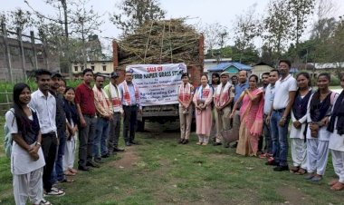 বোকাখাতৰ জে ডি এছ জি মহাবিদ্যালয়ত উৎপাদিত নেপিয়াৰ ঘাঁহৰ বিপনন  : লক্ষাধিক ধন উপাৰ্জন  :