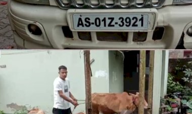 বিলাসী স্ক্ৰপিঅ' গাড়ীৰ ভিতৰৰ পৰা উদ্ধাৰ ৬ টাকৈ গৰু  : বোকাখাত আৰক্ষীৰ অভিযানত আটক দুই গৰুৰ চোৰাং ব্যৱসায়ী  :