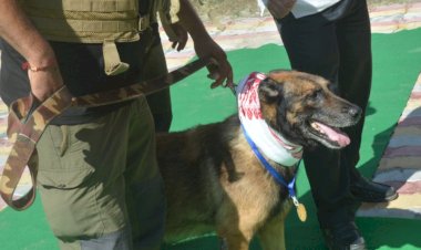 আৰণ্যকৰ কে- ৯ গোটৰ অন্যতম নায়ক জৰবাৰ মৃত্যু  :  জৰবালৈ শেষ শ্ৰদ্ধা আৰু গভীৰ শ্ৰদ্ধাঞ্জলি  :