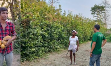 নেমুৰ গছেৰে জৈৱিক বেৰা দি  উজনি অসমৰ শিৱসাগৰত কৃষক আৰু স্থানীয় লোকে উপশম কৰিবলৈ সক্ষম হৈছে হাতী-মানুহৰ সংঘাত : আৰ্থিক ভাৱে লাভৱান হ'বলৈও সক্ষম হৈছে  :