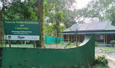 বোকাখাতৰ বৰজুৰিত থকা বন্যপ্ৰাণী পুনৰ সংস্থাপন আৰু সংৰক্ষণ কেন্দ্ৰৰ ২০ সংখ্যক প্ৰতিষ্ঠা দিৱস উদযাপন :