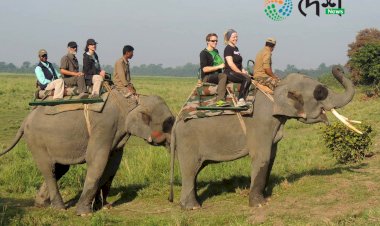 কাজিৰঙাত বৃদ্ধি পাইছে দেশী বিদেশী পৰ্যটনৰ আগমন  : সোনালী বাঘ আৰু নদী পৰ্যটনে আকৰ্ষণ কৰিছে পৰ্যটকক  :