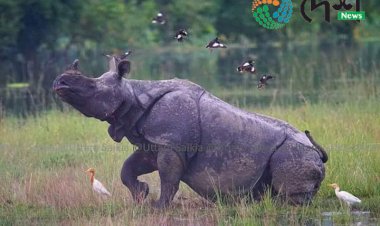 ৰাষ্ট্ৰীয় উদ্যান হিচাবে পঞ্চাশ বৰ্ষ গৰকা কাজিৰঙালৈ এইদেশৰ শুভেচ্ছা  :