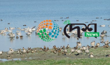 মাজুলীত পৰিভ্ৰমী পক্ষীৰ মৃত্যুৰ ঘটনাৰ পিচত নিষিদ্ধ কীটনাশক ম’ন’ক্ৰটফচৰ ব্যৱহাৰকলৈ ৰাজ্যৰ কৃষি বিভাগৰ জৰুৰী নিৰ্দেশ :