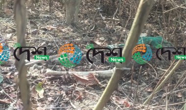 বোকাখাতৰ নাহৰজান চাহ বাগিছাত নৰ কংকাল উদ্ধাৰ  :