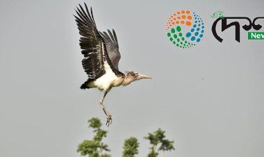 বন্যপ্ৰাণী পুনৰ সংস্থাপন আৰু সংৰক্ষণ কেন্দ্ৰৰ উদ্যোগত প্ৰকৃতিৰ বুকুত মুকলি কৰা হ'ল ঢকুৱাখনাৰ পৰা উদ্ধাৰ কৰি অনা বৰটোকোলা  :