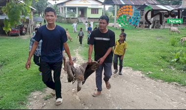 বোকাখাতৰ বহিখোৱা পথাৰৰ পৰা শগুন উদ্ধাৰ  : বিহ ক্ৰিয়া হোৱাৰ সন্দেহ : বন্যপ্ৰাণী পুনৰ সংস্থাপন আৰু সংৰক্ষণ কেন্দ্ৰত চিকিৎসা প্ৰদান কৰা হৈছে শগুনটোৰ  :