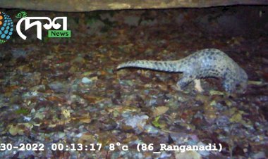 ৰাইম’না ৰাষ্ট্ৰীয় উদ্যানত বিপন্ন চীনা প্ৰজাতিৰ বনৰৌৰ উপস্থিতিৰ প্ৰমানিক তথ্য সংগ্ৰহ ⦂