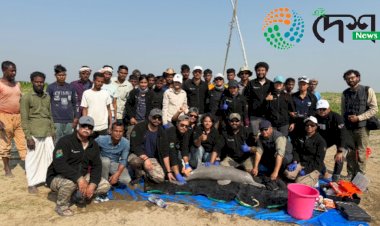বন্যপ্ৰাণী সংৰক্ষণৰ ইতিহাসত ঐতিহাসিক পদক্ষেপ  : নদী ডলফিন বা শিহুৰ শৰীৰত প্ৰথম বাৰৰ বাবে অসমৰ নদীত সফলতাৰে টেগিং সংস্থাপন  :