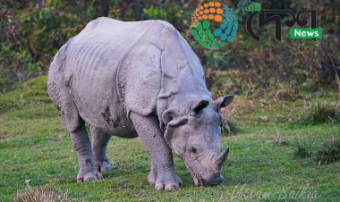 কাজিৰঙাৰ অগৰাতলি বনাঞ্চলত গঁড়ৰ আক্ৰমনত বনকৰ্মী আহত  :