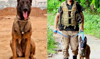 আৰণ্যকৰ সহযোগত লাওখোৱা বন্যপ্ৰাণী অভয়াৰণ্যত “স্নিফাৰ ডগ ইউনিট”ৰ অধীনত  প্ৰশিক্ষিত কুকুৰ নিয়োগ  :