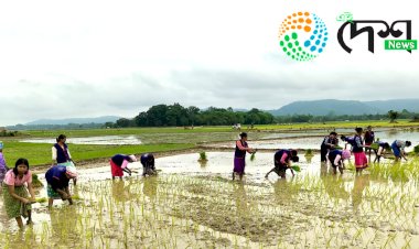 ৰাষ্ট্ৰীয় সেৱা যোজনাৰে পথাৰত ভুঁই ৰোৱাত ব্যস্ত বোকাখাতৰ জে ডি এছ জি মহাবিদ্যালয়ৰ ছাত্ৰ ছাত্ৰী  :