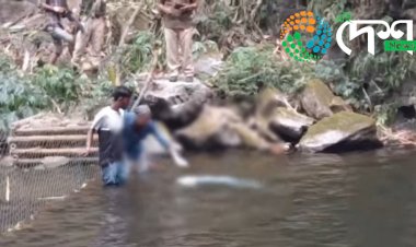 বোকাখাতৰ সমীপৰ কাকচাঙৰ কাইফলাংচু জলপ্ৰপাতত অচিনাকী মহিলাৰ মৃতদেহ উদ্ধাৰ :