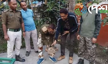 বোকাখাত সমজিলাৰ ৰজাবাৰীত বৰকাছ উদ্ধাৰ :