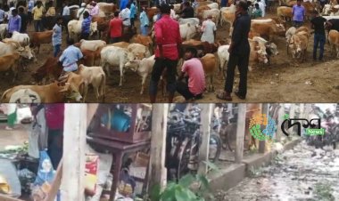 বোকা পানীৰে পুতিগন্ধময় উজনি অসমৰ বৃহৎ সপ্তাহিক বিহৰা বজাৰৰ পৰিৱেশ : কানসাৰ নাই ৰাজহ সংগ্ৰহ কৰা কৰ্তৃপক্ষৰ :