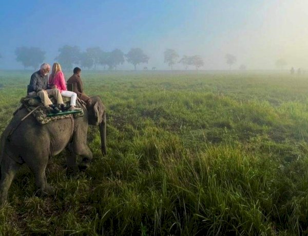 Strike called off within a day  :  Private Elephant Safari resumed from 25th Dec 2023 in Bagori range of Kaziranga National Park  :