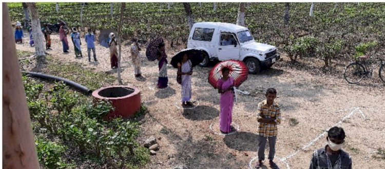 চেগুণবাৰী চাহ বাগিছাৰ শ্ৰমিকৰ