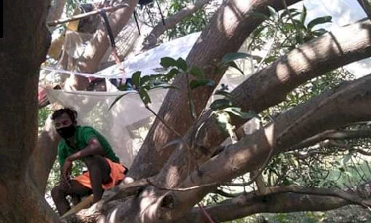 ঘৰত ঠাই  নাই, গছত কোৰান্টিইন ৭ যুবকৰ