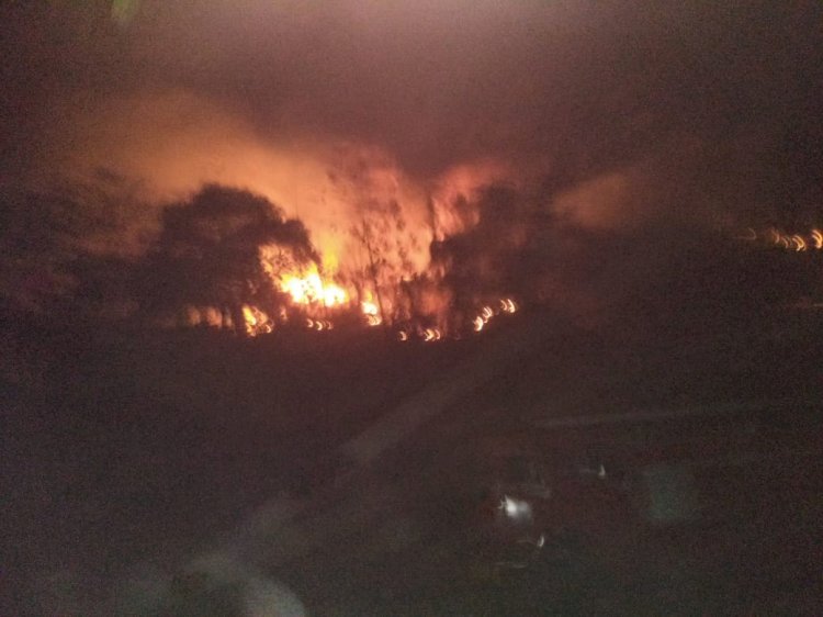 উত্তৰ গুৱাহাটী গৌৰীপুৰত  বনজুই