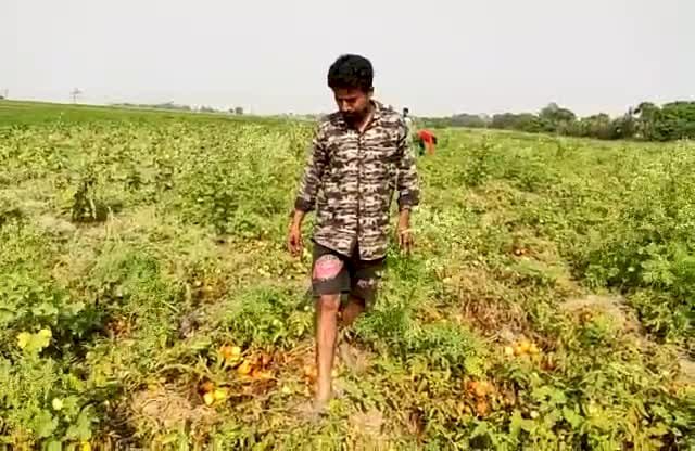 লক ডাউনত সমগ্ৰ ৰাজ্যৰ লগতে কৃষিমন্ত্ৰীৰ সমষ্টি বোকাখাতত কৃষকৰ বিলৈ :