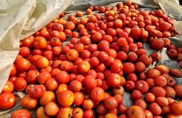 লক ডাউনত সমগ্ৰ ৰাজ্যৰ লগতে কৃষিমন্ত্ৰীৰ সমষ্টি বোকাখাতত কৃষকৰ বিলৈ :