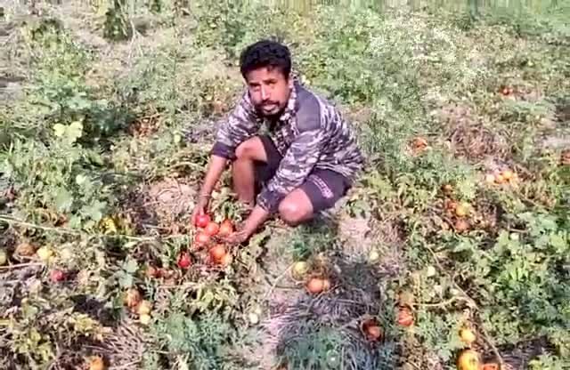 লক ডাউনত সমগ্ৰ ৰাজ্যৰ লগতে কৃষিমন্ত্ৰীৰ সমষ্টি বোকাখাতত কৃষকৰ বিলৈ :