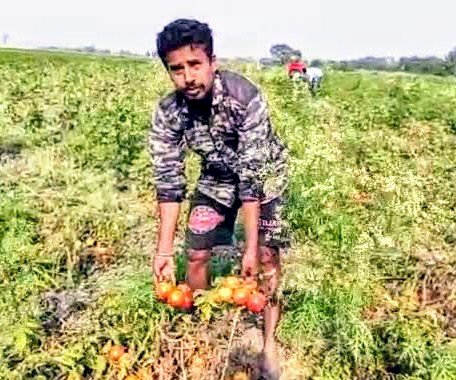 বােকাখাতত অত্যাৱশ্যকীয় সামগ্ৰীৰ চৰাদাম : ৰেচন কাৰ্ডৰ চাউলকলৈ এজেন্টৰ হৰলুকি : নিয়ন্ত্ৰনত ব্যৰ্থ যোগান বিভাগ :