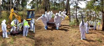 ন্যায়ালয়ৰ  কঠোৰ নিৰ্দেশ-কোৰোণাৰ বিৰুদ্ধে যুঁজত বিধি পথালি দিলে বিপদ হব