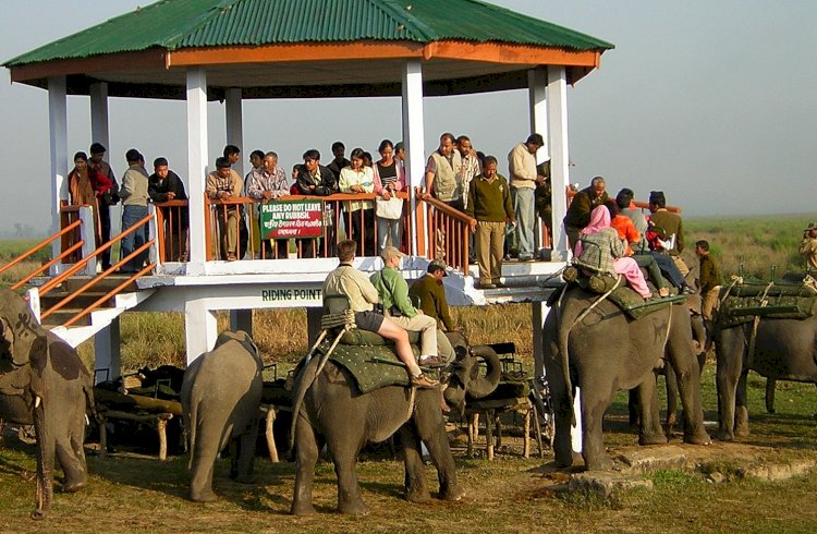 কাজিৰঙা ৰাষ্ট্ৰীয় উদ্যানৰ পৰ্যটন বৰ্ষৰ সামৰণী : প্ৰতিকুল পৰিস্থিতিত হ্ৰাস পালে ৰাজহ সংগ্ৰহ  :