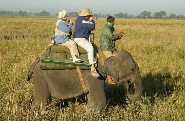 কাজিৰঙা ৰাষ্ট্ৰীয় উদ্যানৰ পৰ্যটন বৰ্ষৰ সামৰণী : প্ৰতিকুল পৰিস্থিতিত হ্ৰাস পালে ৰাজহ সংগ্ৰহ  :