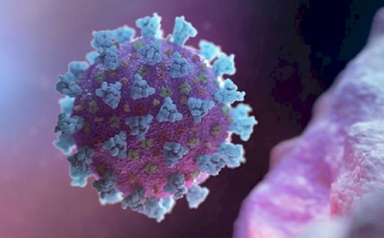 অসমত আৰু চাৰিজন লোকৰ দেহত ধৰা পৰিছে কোৰোণা ভাইৰাছ।