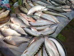 লকডাউনত ২১ কোটি টকাৰ মাছ বিক্ৰী