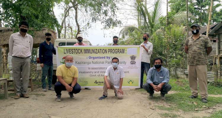 লক ডাউনৰ মাজতেই কাষৰীয় জনসাধাৰণৰ পশুধনৰ সুৰক্ষাৰ বাবে ৰোগ প্ৰতিষেধক দিয়াৰ অভিযান আৰম্ভ কাজিৰঙা কৰ্তৃপক্ষৰ :