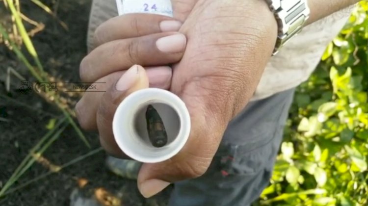 Hornless death body of a Rhino found in Kaziranga National Park: Poachers killed Rhino