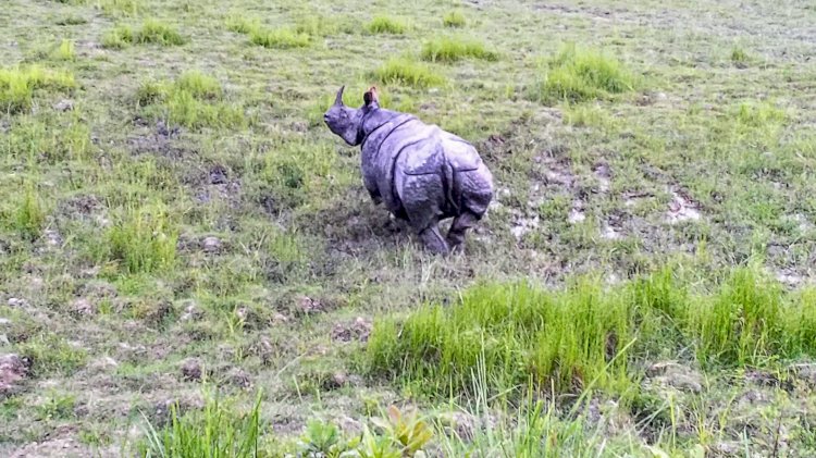 উচ্চ ন্যায়লয়ৰ নিৰ্দেশত বেদখল মুক্ত হোৱা কলিয়াবৰ মহকুমাৰ বান্দৰডুবি অঞ্চল কাজিৰঙা ৰাষ্ট্ৰীয় উদ্যানৰ হাতত অৰ্পণ  :