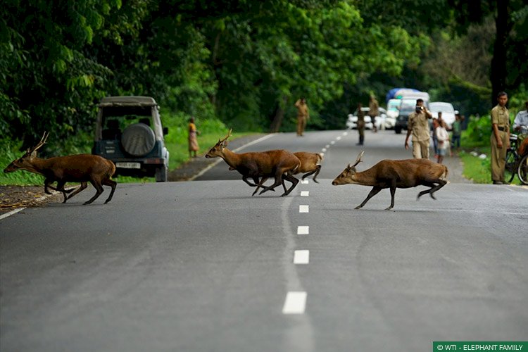 বানপানী সমাগত :  কাজিৰঙাৰ ৩৭ নং ৰাষ্ট্ৰীয় পথাংশত ১৪৪ ধাৰা জাৰি বোকাখাত আৰু কলিয়াবৰ মহকুমা প্ৰশাসনৰ :