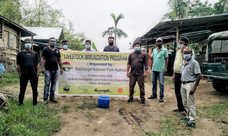 কাজিৰঙাৰ ৰাষ্ট্ৰীয় উদ্যান কৰ্তৃপক্ষৰ উদ্যোগত কাষৰীয় গাঁৱৰ ১০ হেজাৰ পশুধনক প্ৰতিষেধক প্ৰদান : দুটা ৰেঞ্জত এতিয়াও চলি আছে প্ৰতিষেধক প্ৰদানৰ অভিযান :